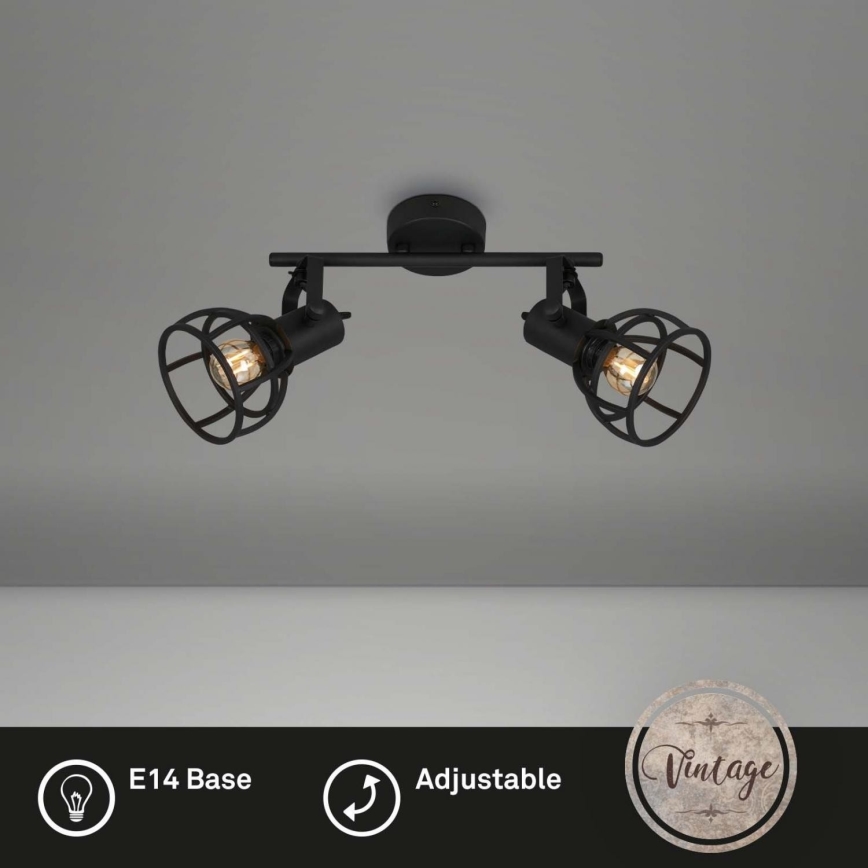 Briloner 2669-025 - Spotlight RETRO 2xE14/25W/230V