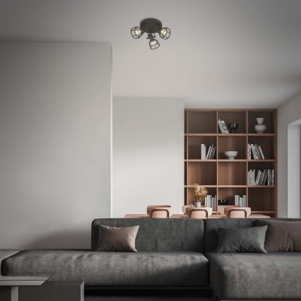 Briloner 2669-035 - Spotlight RETRO 3xE14/25W/230V