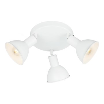 Briloner 2674-036 - Spotlight RETRO 3xE14/25W/230V vit