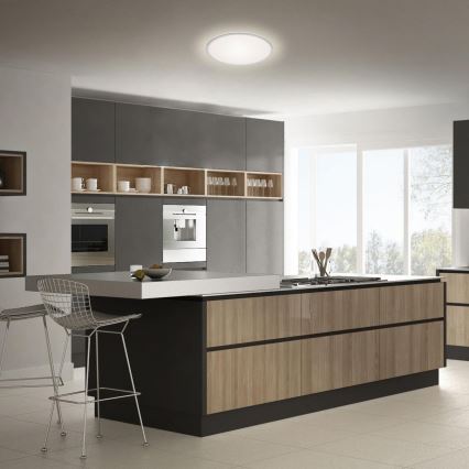 Briloner 3046-014 - LED taklampa LED/15W/230V 4000K diameter 28 cm silver