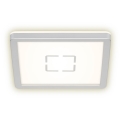 Briloner 3174-014 - LED taklampa FREE LED/12W/230V 19x19 cm
