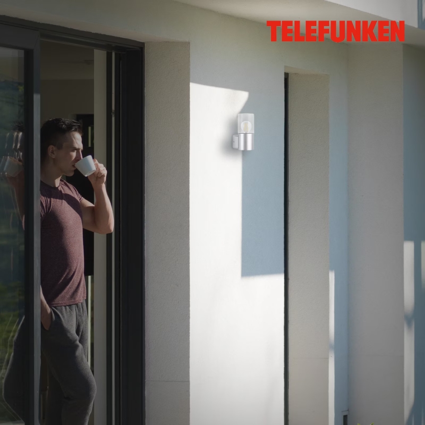 Briloner 320504TF - Vägglampa för utomhusbruk 1xE27/12W/230V IP44 silver