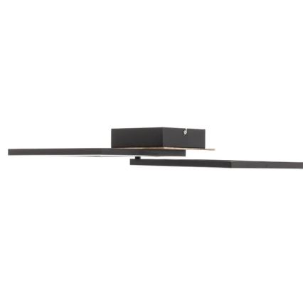 Briloner 3210-014 - LED Dimbar taklampa FRAME 2xLED/11W/230V brun