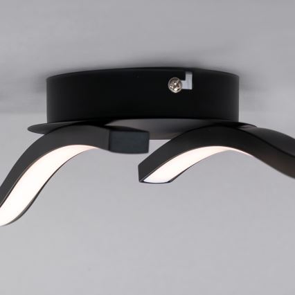 Briloner 3449-015 - LED fäst Ljuskrona  GO 2xLED/6W/230V