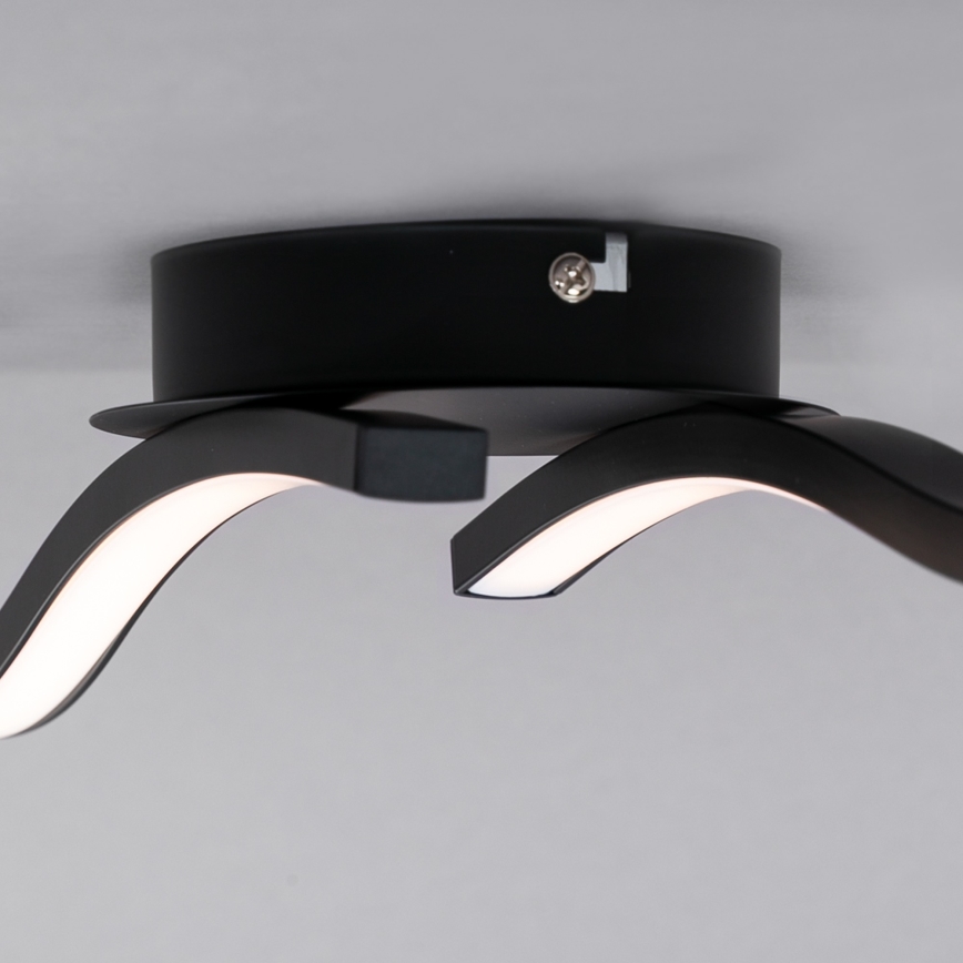 Briloner 3449-015 - LED fäst Ljuskrona  GO 2xLED/6W/230V