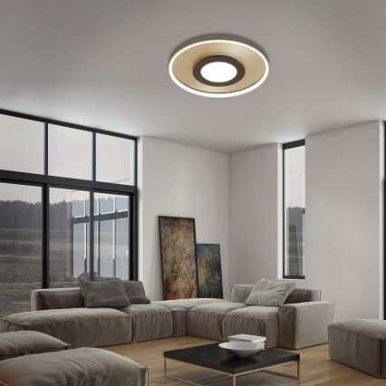 Briloner 3640017 - LED dimbar taklampa FRAME LED/25W/230V 2700-6500K + fjärrkontroll