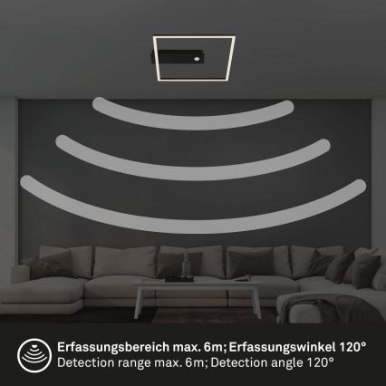 Briloner 3770-015 - LED-taklampa med rörelse- och skymningssensor FRAME LED/14W/230V 3000K 30x32 cm svart