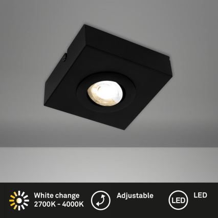 Briloner 3996015 - LED spotlight CTS LED/4W/230V 2700/4000K svart