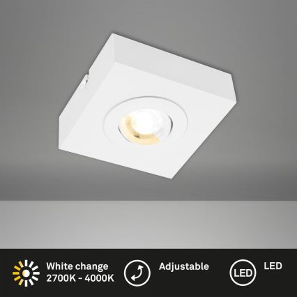 Briloner 3996016 - LED spotlight CTS LED/4W/230V 2700/4000K vit