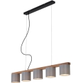 Briloner 4075-054 - Taklampa på kabel RHON 5xE14/25W/230V