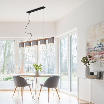 Briloner 4075-054 - Taklampa på kabel RHON 5xE14/25W/230V