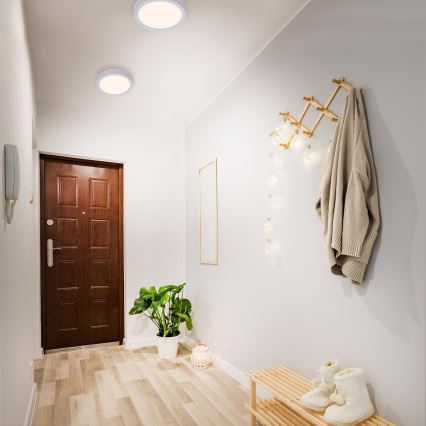 Briloner 7117-014 - LED taklampa FIRE LED/16,5W/230V 3000K