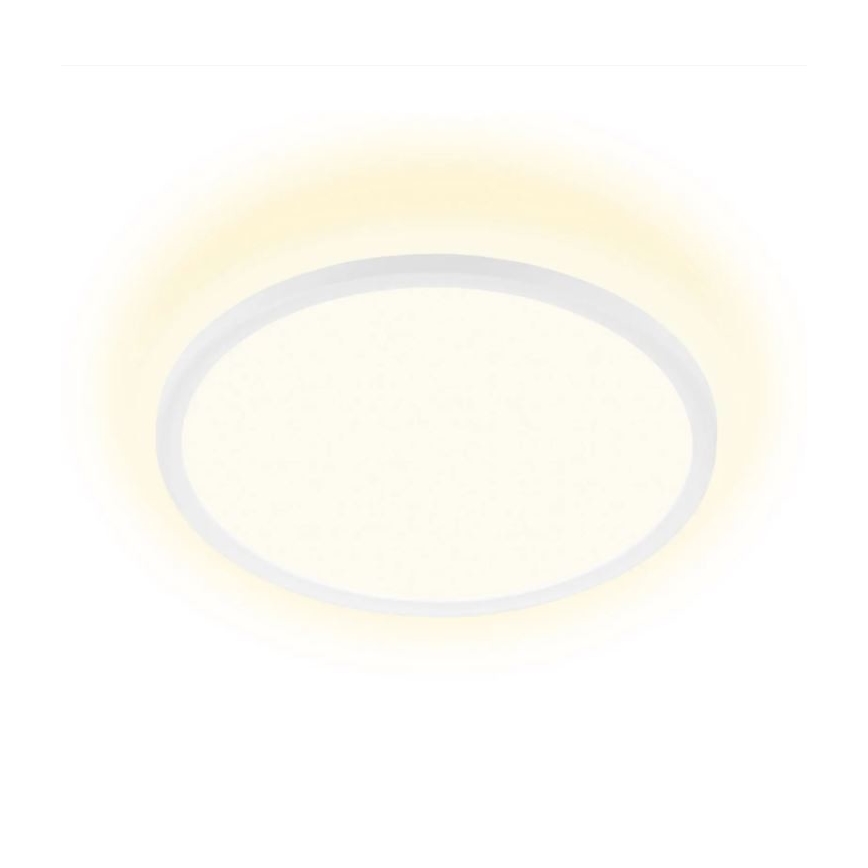 Briloner 7155-416 - LED taklampa SLIM LED/18W/230V