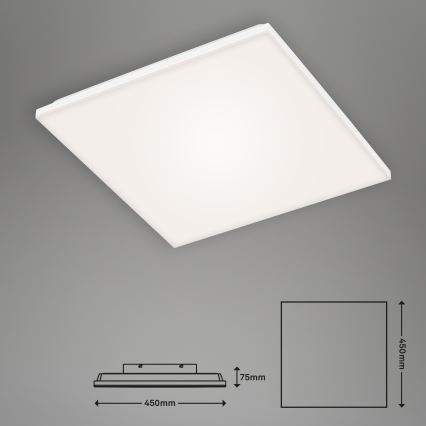 Briloner 7376-116 - LED taklampa FRAMELESS LED/24W/230V
