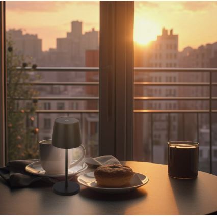 Briloner 7423015 - LED Dimbart uppladdningsbart utomhusbordslampa LED/2,6W/5V IP44 2000 mAh svart