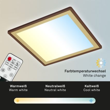 Briloner 7459-417 - LED dimbar taklampa DECO LED/24W/230V 2700-6500K + fjärrkontroll