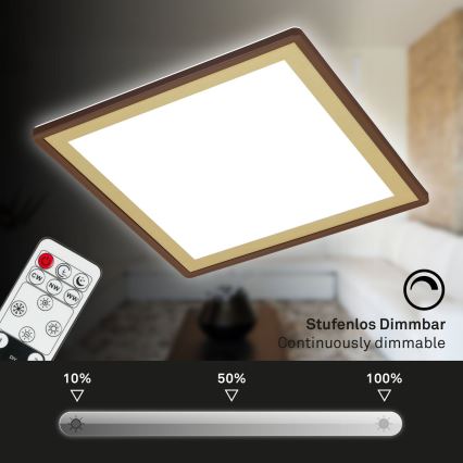 Briloner 7459-417 - LED dimbar taklampa DECO LED/24W/230V 2700-6500K + fjärrkontroll