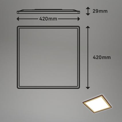 Briloner 7459-417 - LED dimbar taklampa DECO LED/24W/230V 2700-6500K + fjärrkontroll