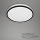 Briloner - LED taklampa för badrum STARRY SKY LED/12W/230V IP44