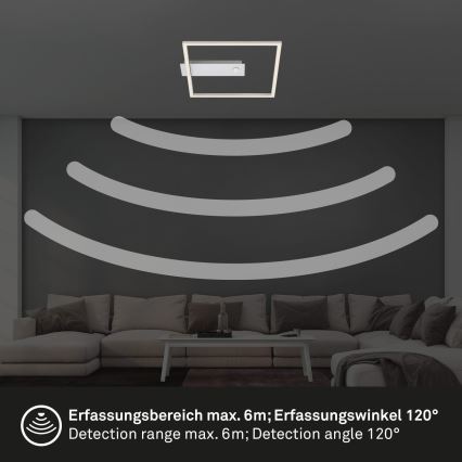 Briloner - LED-taklampa med rörelse- och skymningssensor FRAME LED/14W/230V 3000K 30x32 cm matt krom