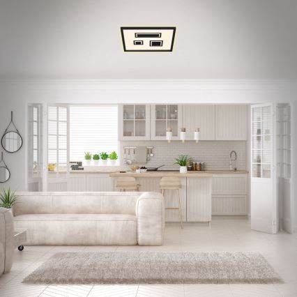 Briloner - LED taklampa PAC LED/22W/230V