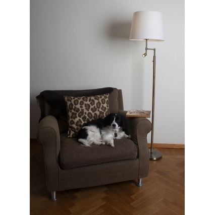 ByRydens - LED Golvlampa ORLANDO 1xE27/5W/230V + LED/3W vit/brons Ø 36 cm