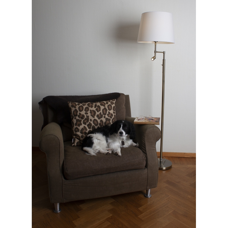 ByRydens - LED Golvlampa ORLANDO 1xE27/5W/230V + LED/3W vit/brons Ø 36 cm