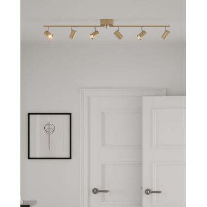 ByRydens - Spotlight CORRECT 6xGU10/7W/230V guld