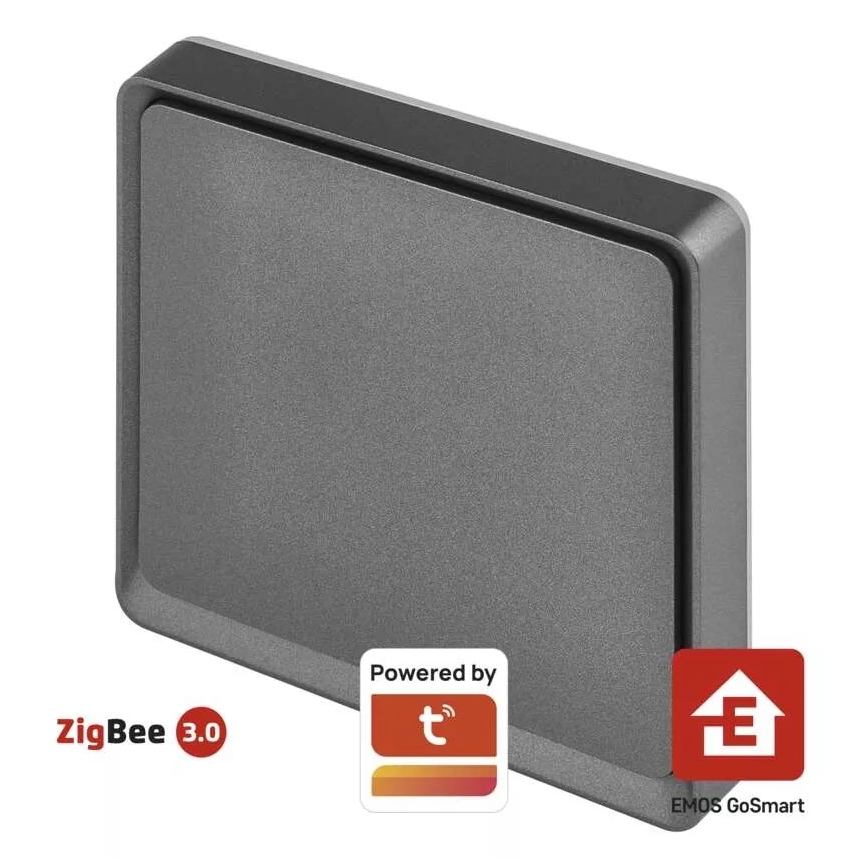 Byta 1-knapp GoSmart 1xCR2430 Tuya svart