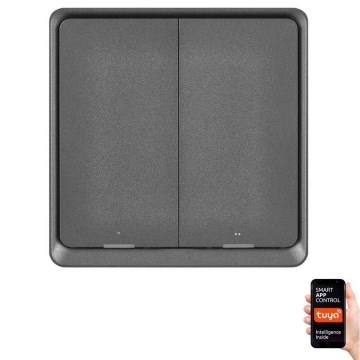 Byta 2-knapp GoSmart 1xCR2430 Tuya svart