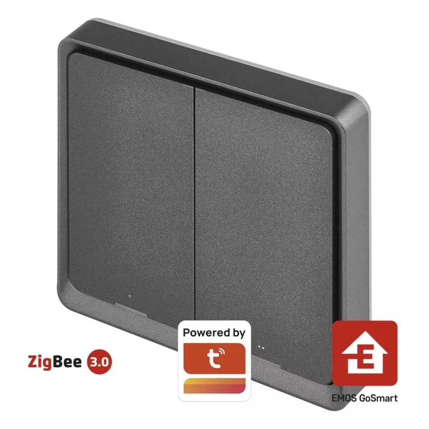 Byta 2-knapp GoSmart 1xCR2430 Tuya svart