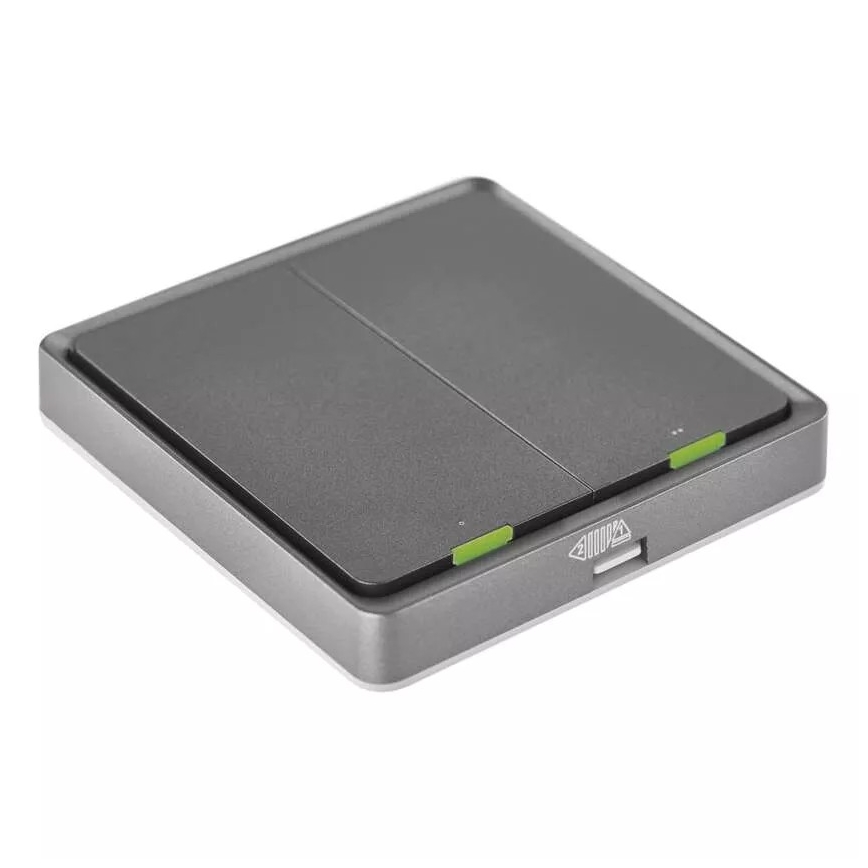 Byta 2-knapp GoSmart 1xCR2430 Tuya svart