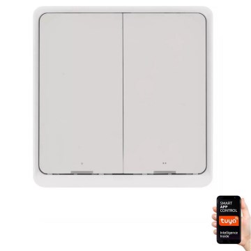 Byta 2-knapp GoSmart 1xCR2430 Tuya vit