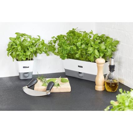 Cole&Mason - Pepparkvarn CAPSTAN BEECH bok 20 cm