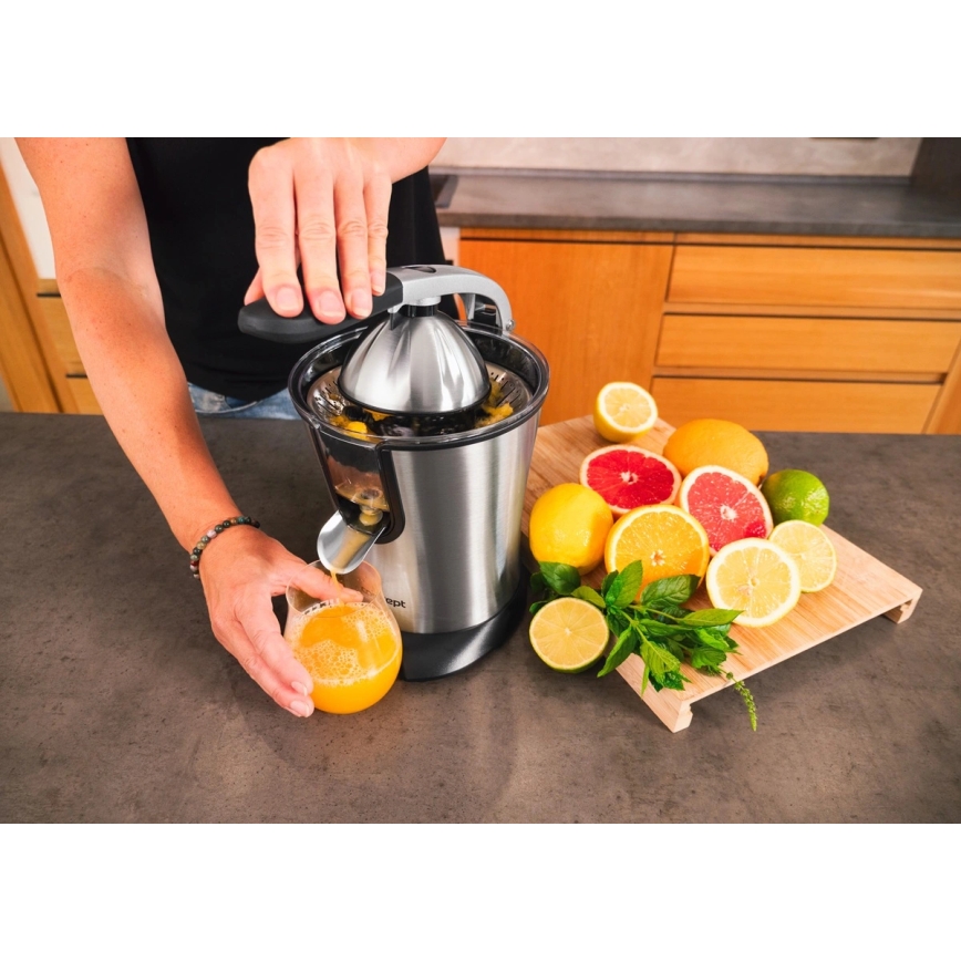Concept CE3520 - Citruspress med hävarm 0,75 l 160W/230V rostfritt stål