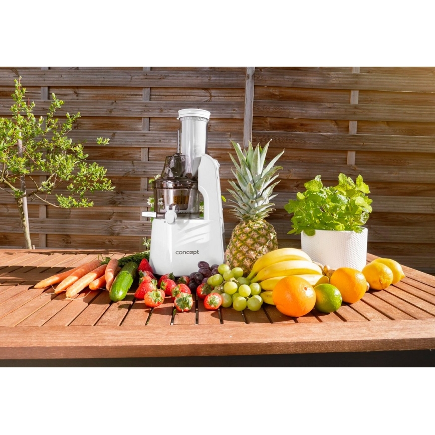 Concept LO7066 - Slowjuicer 3-i-1 240W/230V vit