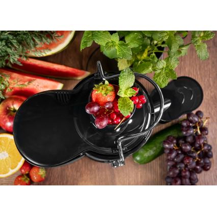 Concept LO7095 - Centrifugalpress 1000W/230V svart/rostfritt stål