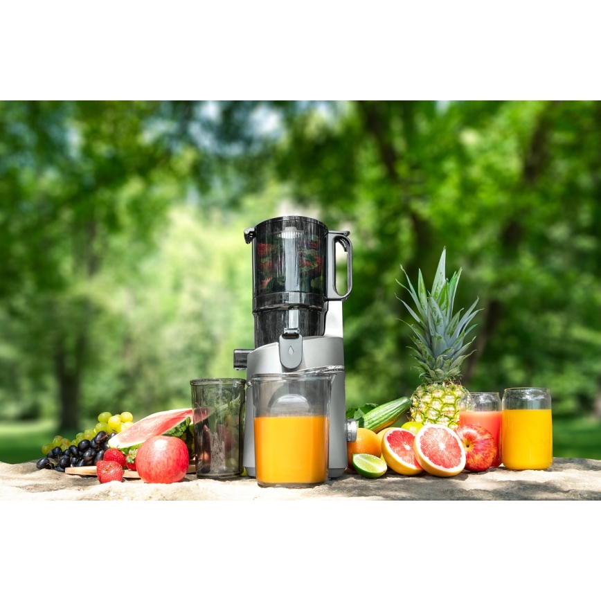 Concept LO7120 - Långsam juicepress JUICY 250W/230V grå