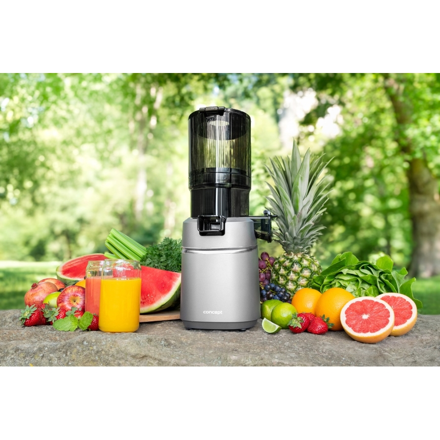 Concept LO7120 - Långsam juicepress JUICY 250W/230V grå