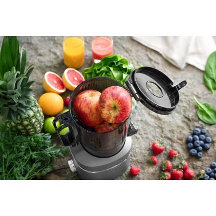 Concept LO7120 - Långsam juicepress JUICY 250W/230V grå