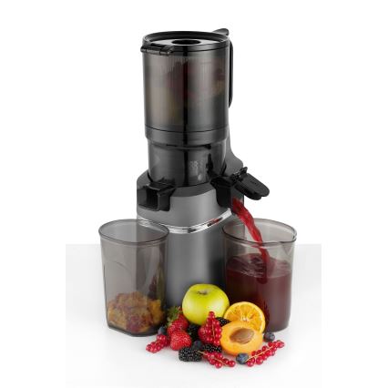 Concept LO7120 - Långsam juicepress JUICY 250W/230V grå