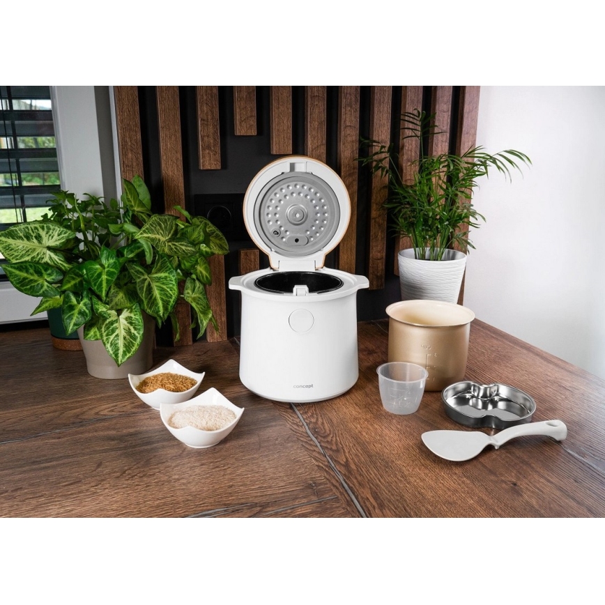 Concept RE3030 - Digital riskokare 2 i 1 380W/230V 1,5 l vit/trädekor