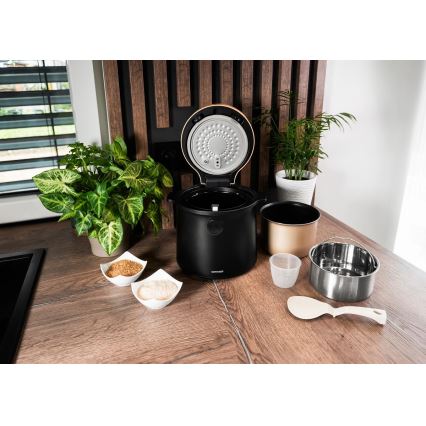 Concept RE4040 - Digital riskokare 2 i 1 450W/230V 2 l svart/trädekor