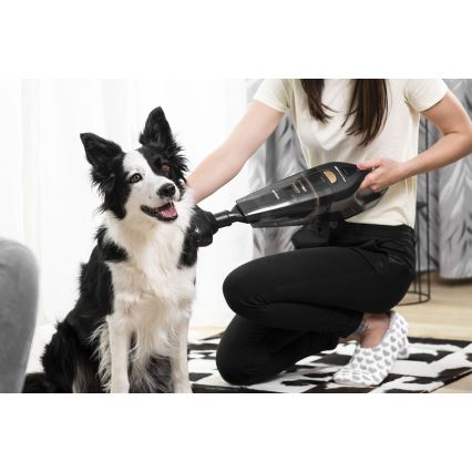 Concept VP4353 - Handhållen våt- och torrdammsugare RISER-FÖRLÄNGNING 110W/18,5V 2200 mAh svart