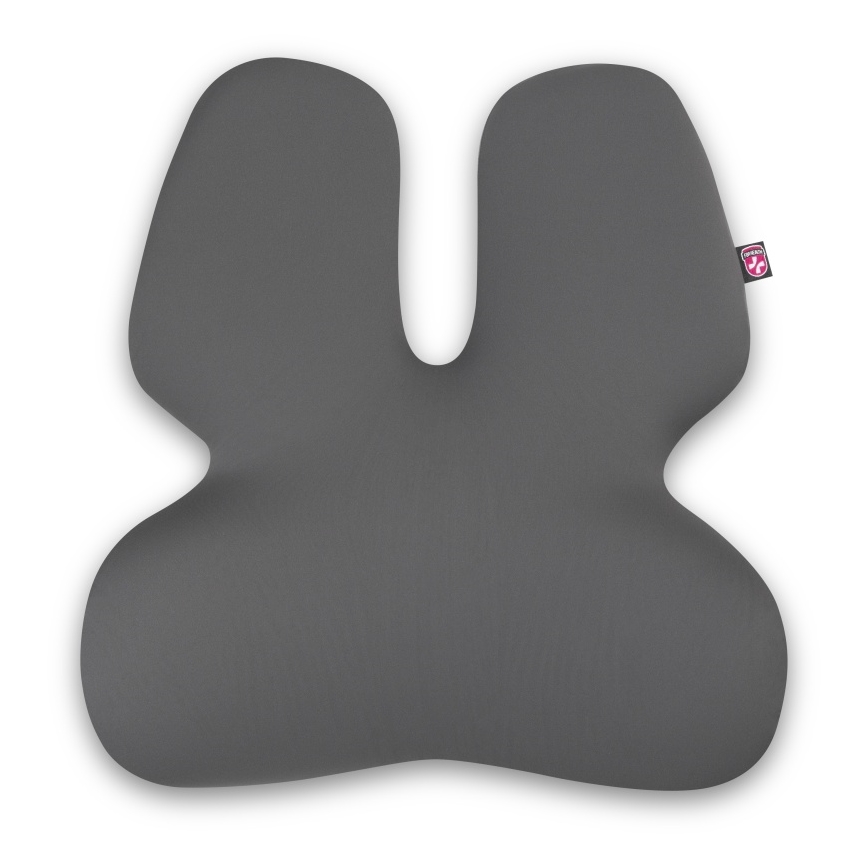 CONNECT IT CFH-5902-GY - Lumbar stolstöd grå