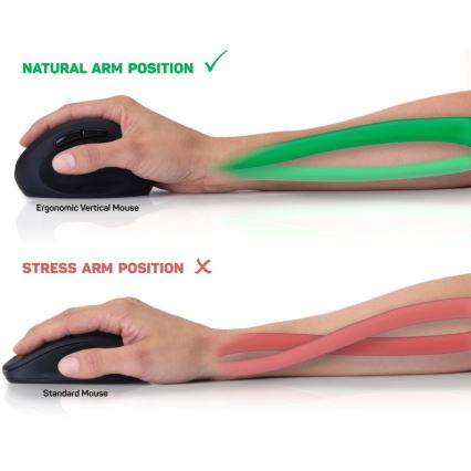 CONNECT IT CMO-2600-BK - Ergonomisk trådlös mus 800/1200/1600 DPI 1xAA svart