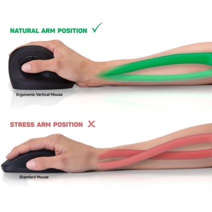 CONNECT IT CMO-2700-BK - Ergonomisk trådlös mus 800/1200/1600 DPI 1xAA svart