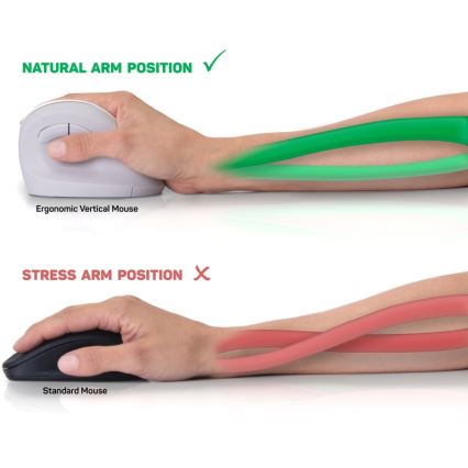 CONNECT IT CMO-2700-WH - Ergonomisk trådlös mus 800/1200/1600 DPI 1xAA vit