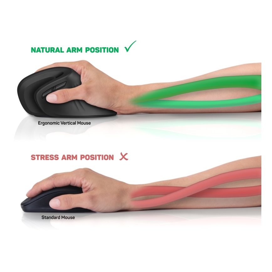 CONNECT IT CMO-2900-BK - Ergonomisk trådlös mus 800/1200/1600 DPI 1xAA svart