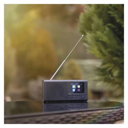 DAB DAB+ FM-radio 3W/5V/4xAA svart